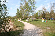 Liegewiesen am Trimini Parkplatz (Foto: Martin Schmitz)
